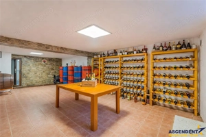 FILM! Edificiu cu identitate arhitecturala, 700mp teren, garaj 4X, Tractorul, Brasov - imagine 8