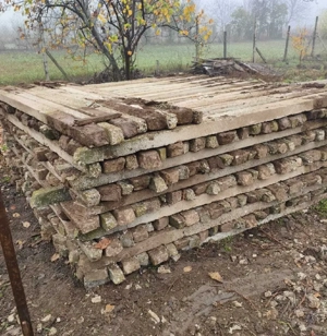 spalieri de vie de gard din defisari 