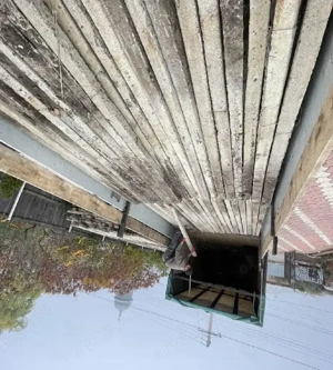 spalieri de vie de gard din defisari 