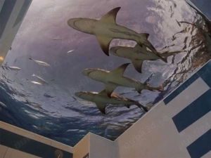 tavanele extensibile  - imagine 3