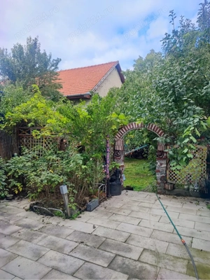 Proprietate deosebita de vinzare in centrul orasului Sebes - imagine 4