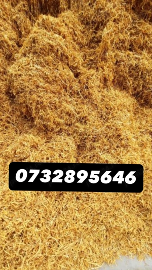 Tutun de cea mai bună calitate