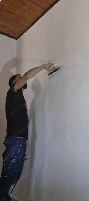 Zugrăveli Profesionale