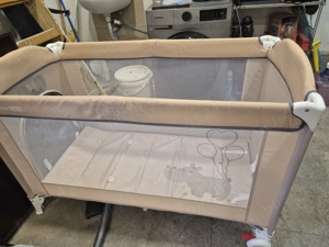 Patut bebe in Timisoara. 50 lei fix.