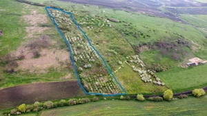 De vânzare livadă cu cabană de lemn