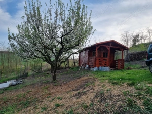 De vânzare livadă cu cabană de lemn - imagine 5