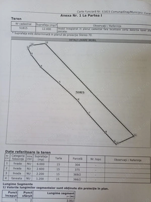 De vânzare livadă cu cabană de lemn - imagine 2