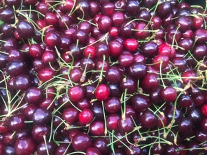 De vânzare livadă cu cabană de lemn - imagine 9