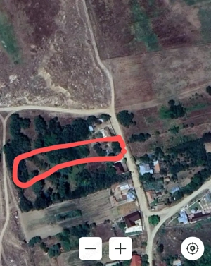 Teren intravilan și extravilan Bechet, Dolj - imagine 5