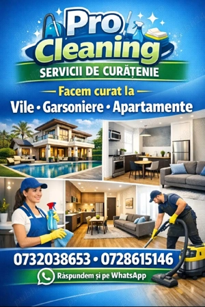 prestam Curățenie la domiciliu 