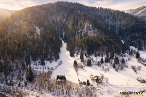 FILM!Teren 7.800mp,fosta partie de schi,investitie turistica agrement,Lunca Bradului,Mures - imagine 4