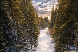 FILM!Teren 7.800mp,fosta partie de schi,investitie turistica agrement,Lunca Bradului,Mures - imagine 2