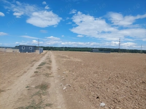  Teren  Balotesti ,str Orhideelor  - imagine 2