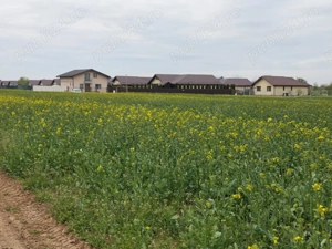  Teren  Balotesti ,str Orhideelor  - imagine 3