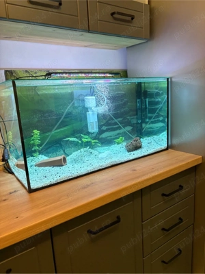 Vand Acvariu de 120 Litri Complect