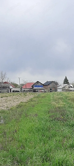 Teren intravilan 2500mp - imagine 4