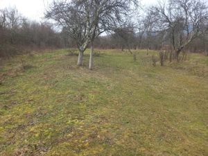 Vând teren intravilan 2000 mp în Maciova, Caraș Severin, ideal pt contrucție  de casă drum asfaltat. - imagine 2