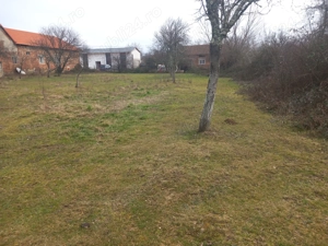 Vând teren intravilan 2000 mp în Maciova, Caraș Severin, ideal pt contrucție  de casă drum asfaltat. - imagine 3