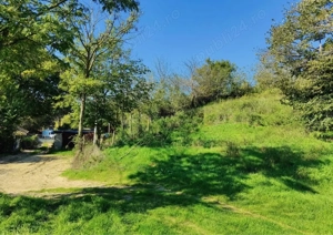 teren de vanzare jud. constanta  - imagine 3