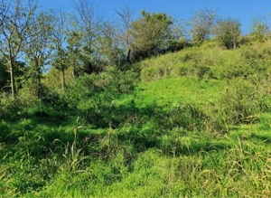 teren de vanzare jud. constanta  - imagine 2