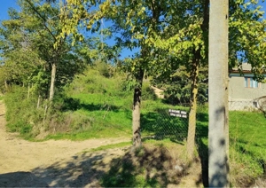 teren de vanzare jud. constanta  - imagine 4