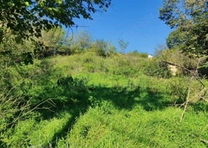 teren de vanzare jud. constanta  - imagine 5