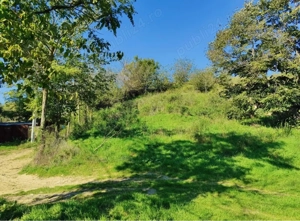 teren de vanzare jud. constanta 