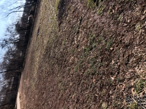 Casa de vanzare - imagine 3