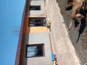 Casa de vanzare - imagine 2