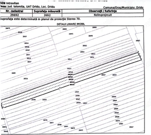 Teren intravilan Dridu Ialomita - imagine 2