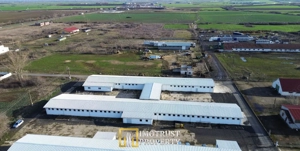 HALA INDUSTRIALA DE VANZARE | PECICA – ARAD - imagine 3