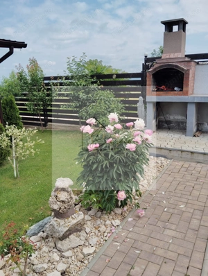 Vilă si Cabană Bod I 8 km de Brașov I constructie 2025 I COMISION 0% - imagine 12