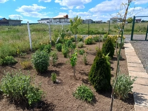 Teren 537m intravilan 