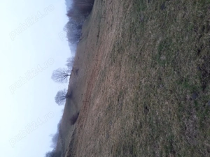 Vand teren in zona de munte - imagine 3