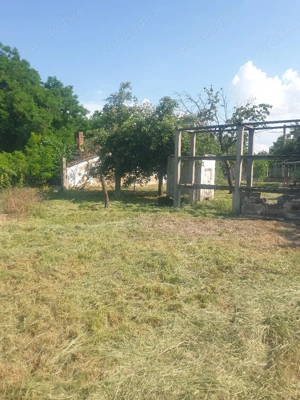 Casa cu grădina la 25 km de Oradea- gaz, apa, curent  - imagine 4