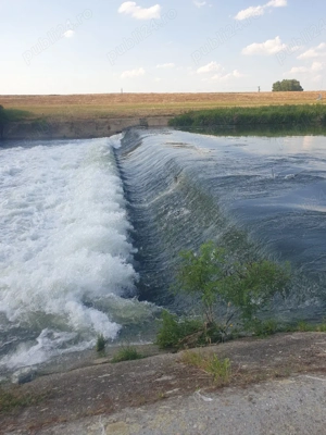 Casa cu grădina la 25 km de Oradea- gaz, apa, curent  - imagine 10