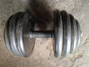 Vând ganteră 10kg preț fix 100 lei 