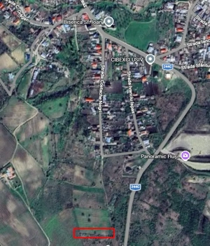 Oportunitate în Huși   teren 1250 mp cu vie pe rod, îngrijită  - imagine 4