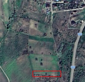 Oportunitate în Huși   teren 1250 mp cu vie pe rod, îngrijită  - imagine 5