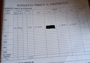 Oportunitate în Huși   teren 1250 mp cu vie pe rod, îngrijită  - imagine 3