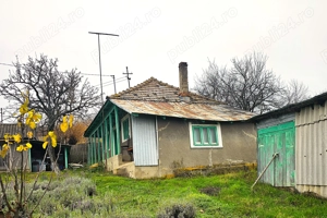 Casa + teren generos 5000 mp intravilan cu livada tanara  si vita de vie productiva. - imagine 2