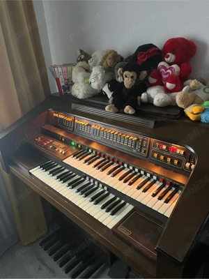 orga electrica solina 