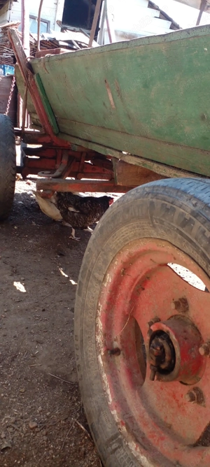 vând sau schimb cu cereale