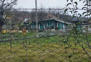 Casa + teren generos 5000 mp intravilan cu livada tanara  si vita de vie productiva. - imagine 3