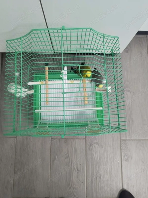 vând pereche peruși  - imagine 4