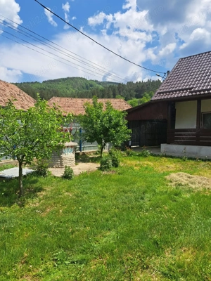 VAND urgent casa zona de munte (am mai lăsat din preț)  - imagine 2