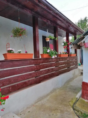 VAND urgent casa zona de munte (am mai lăsat din preț)  - imagine 4