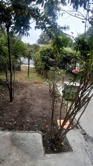 Casa in Poiana Campina (Zonă Centrală) - imagine 10