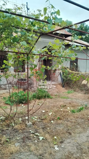 Casa batraneasca + teren - imagine 4