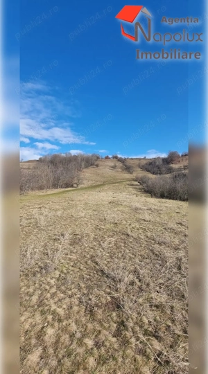  Teren de exceptie 3,1 ha intravilan | Panorama, utilitati, acces dublu | Sardu - imagine 4
